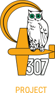 307 Squadron Project logo